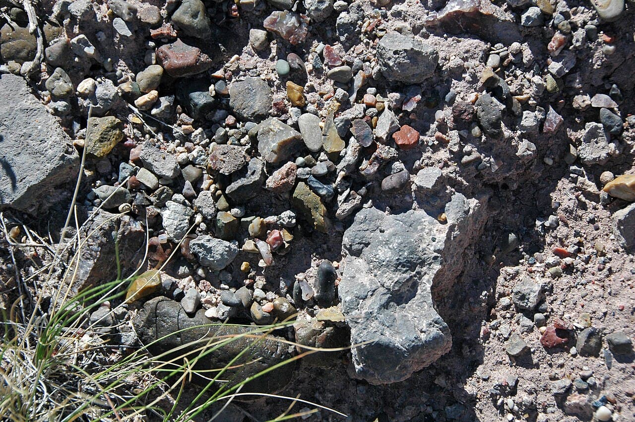 Dinosaur Quarry
