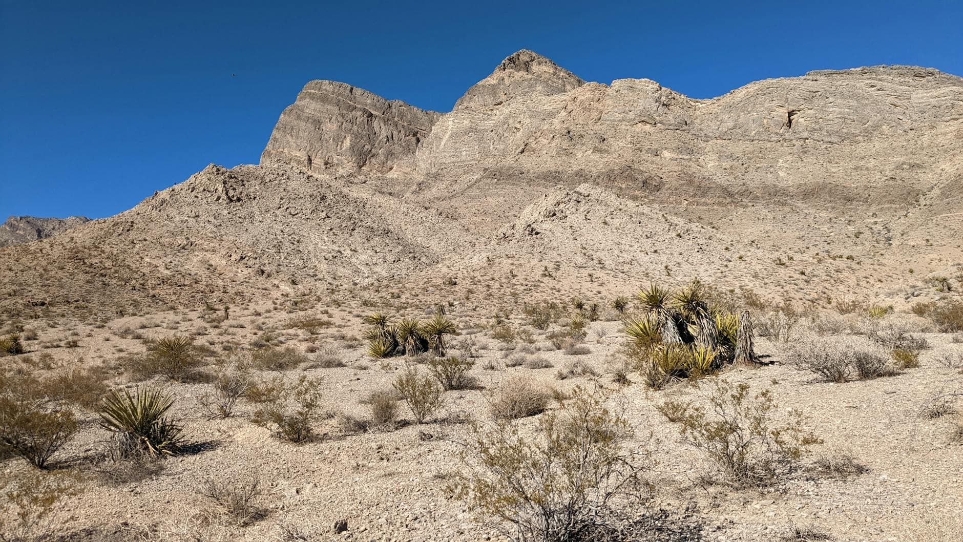 Franklin Mountains SP