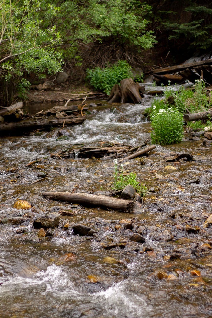 Red River