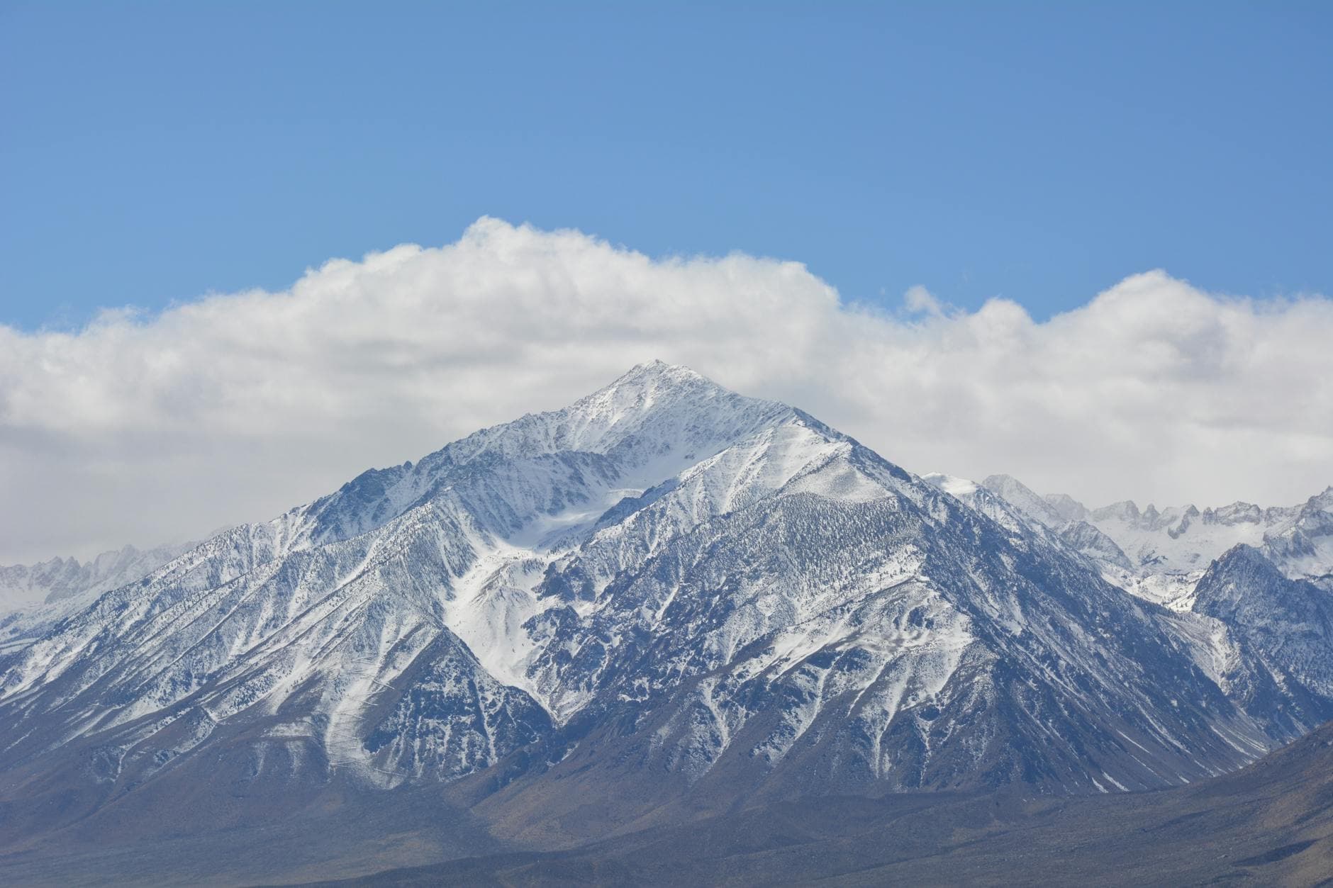 Wheeler Peak (Highest in NM)