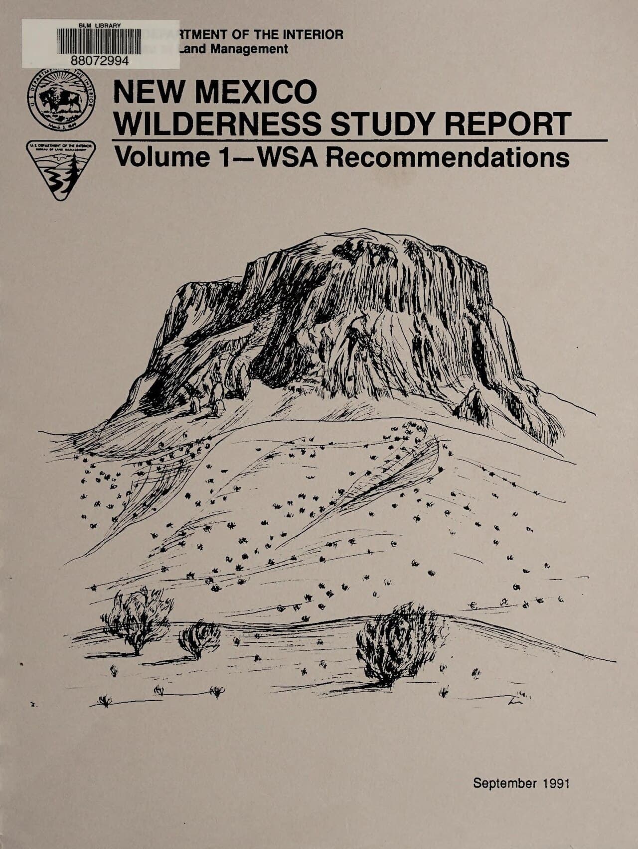 Bisti Badlands (Wilderness Area)