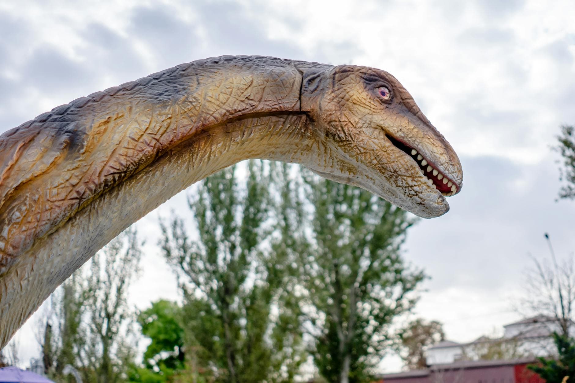 Dinosaur NM (Quarry Visitor Center)