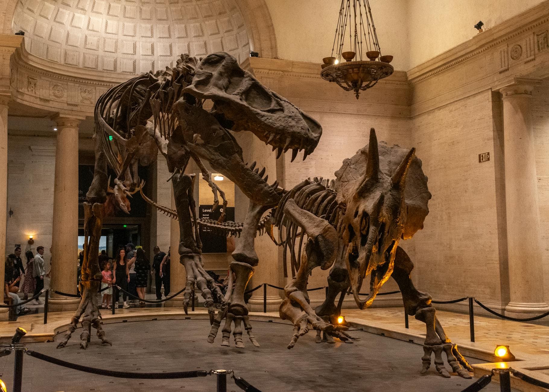 Dinosaur NM (Quarry Visitor Center)