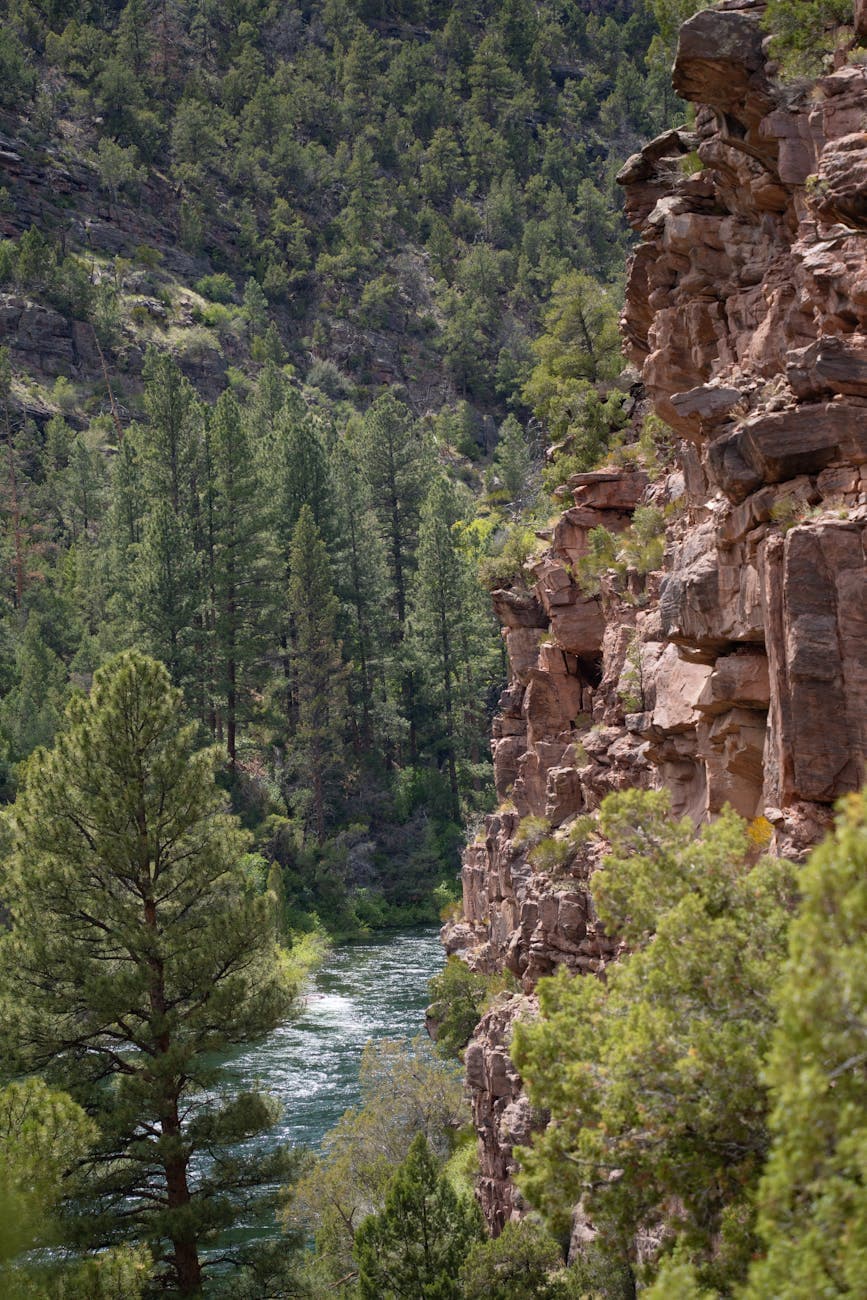 Flaming Gorge (Sheep Creek Bay, Red Canyon Visitor Center)