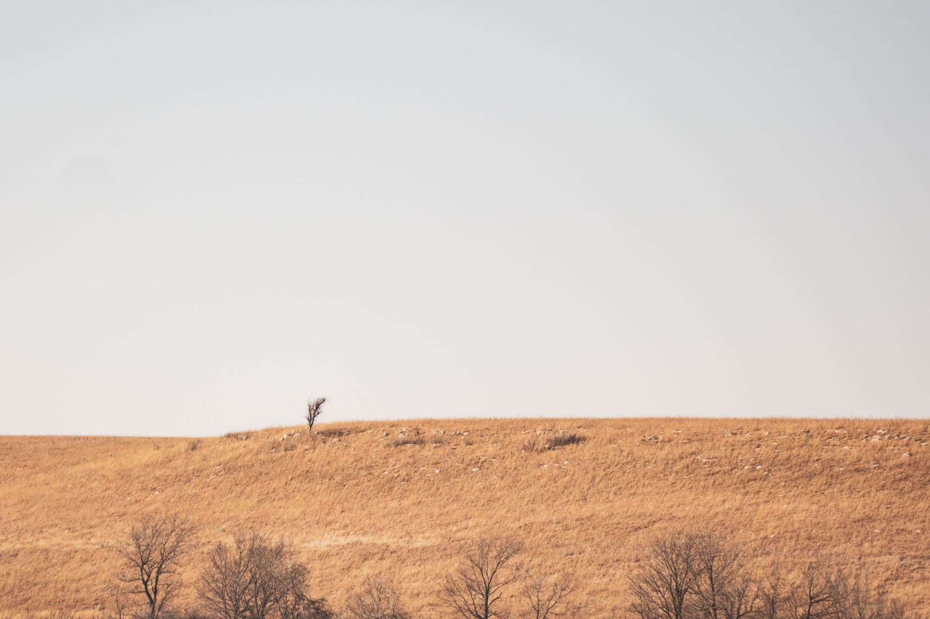 Tallgrass Prairie National Preserve - Scenic Byway & Visitor Center