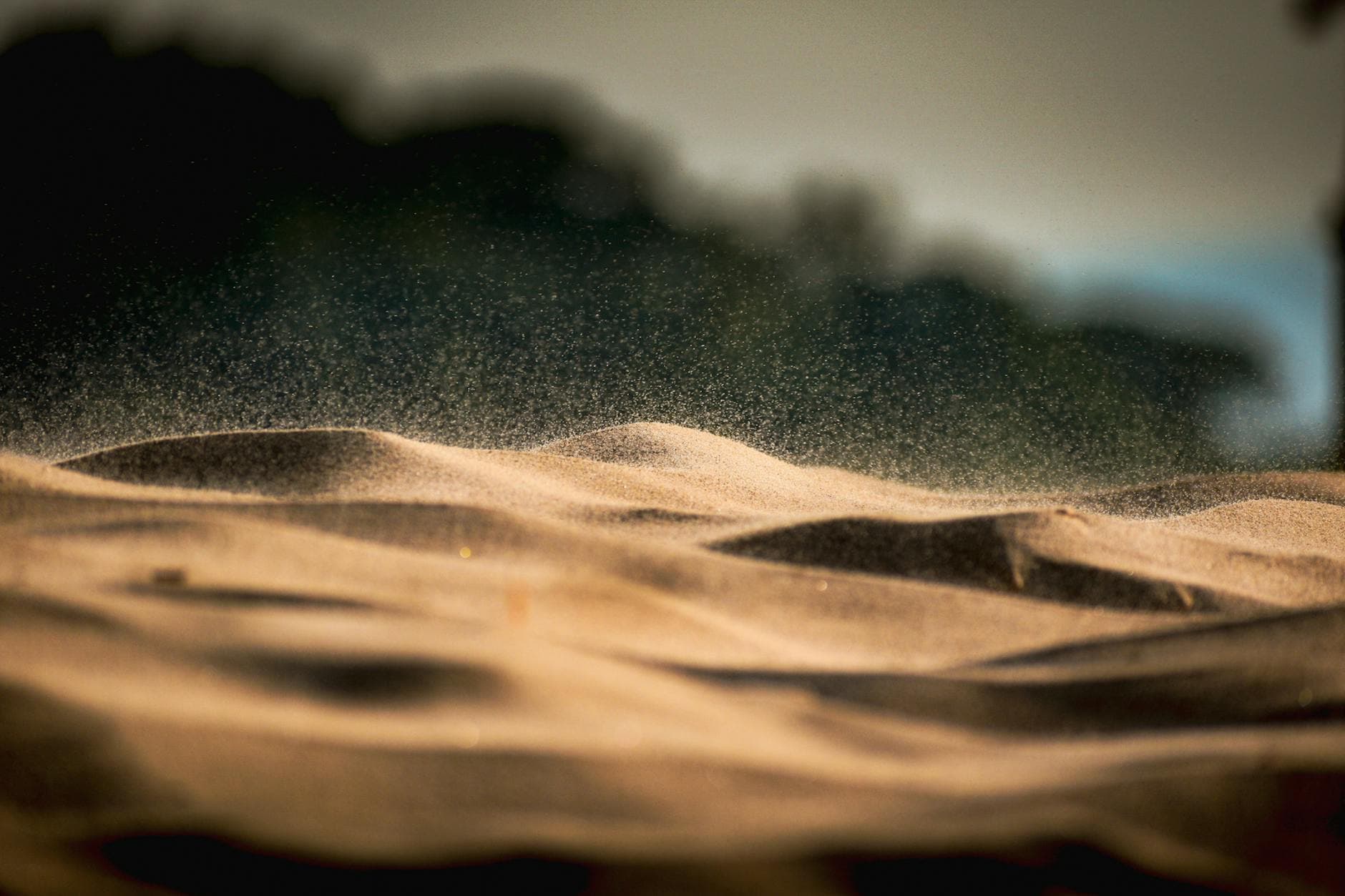 Indiana Dunes NP (West unit)