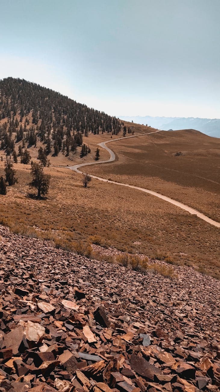 Wheeler Peak (glacier, bristlecone pines)