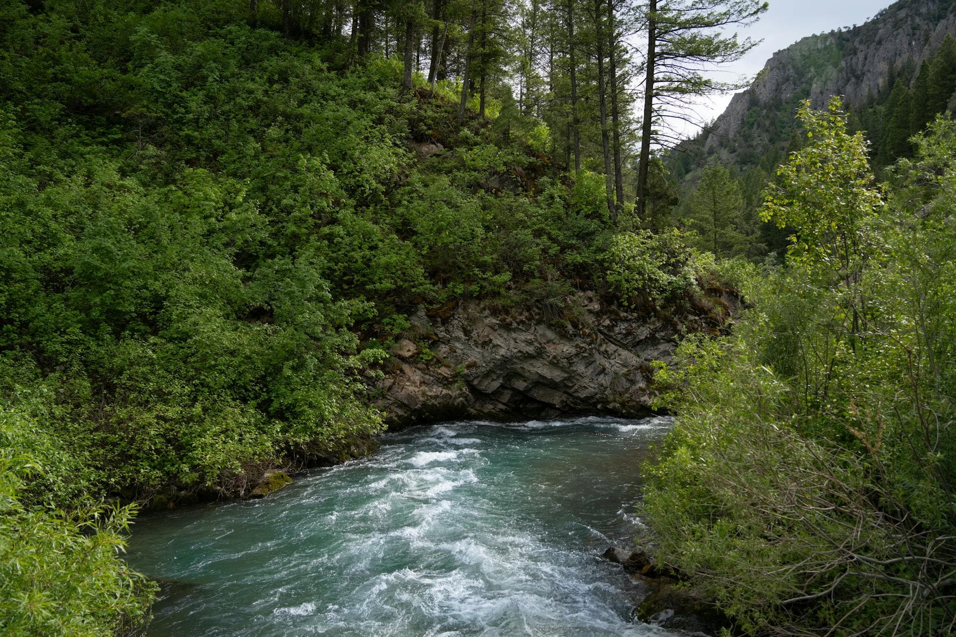 Missouri River (Giant Springs)