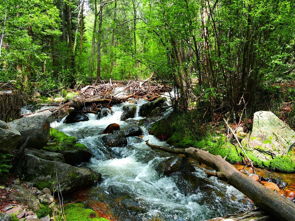Medano Creek