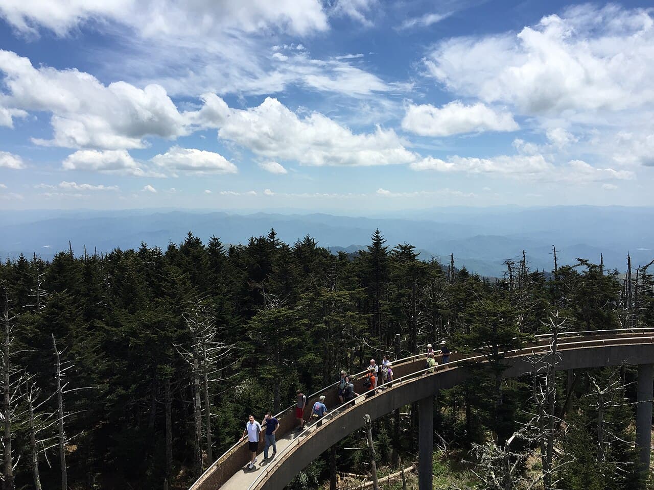 Clingmans Dome