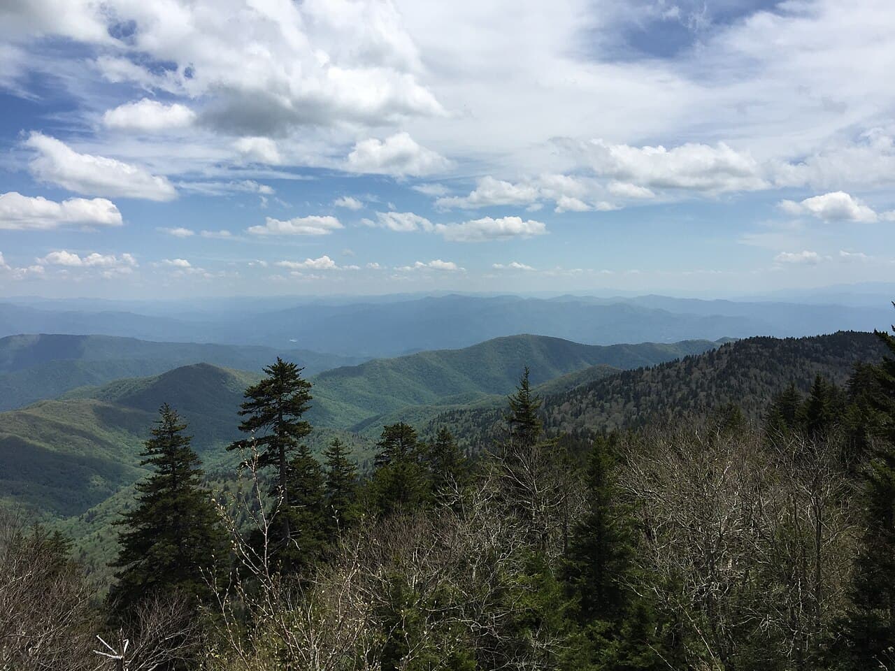 Clingmans Dome