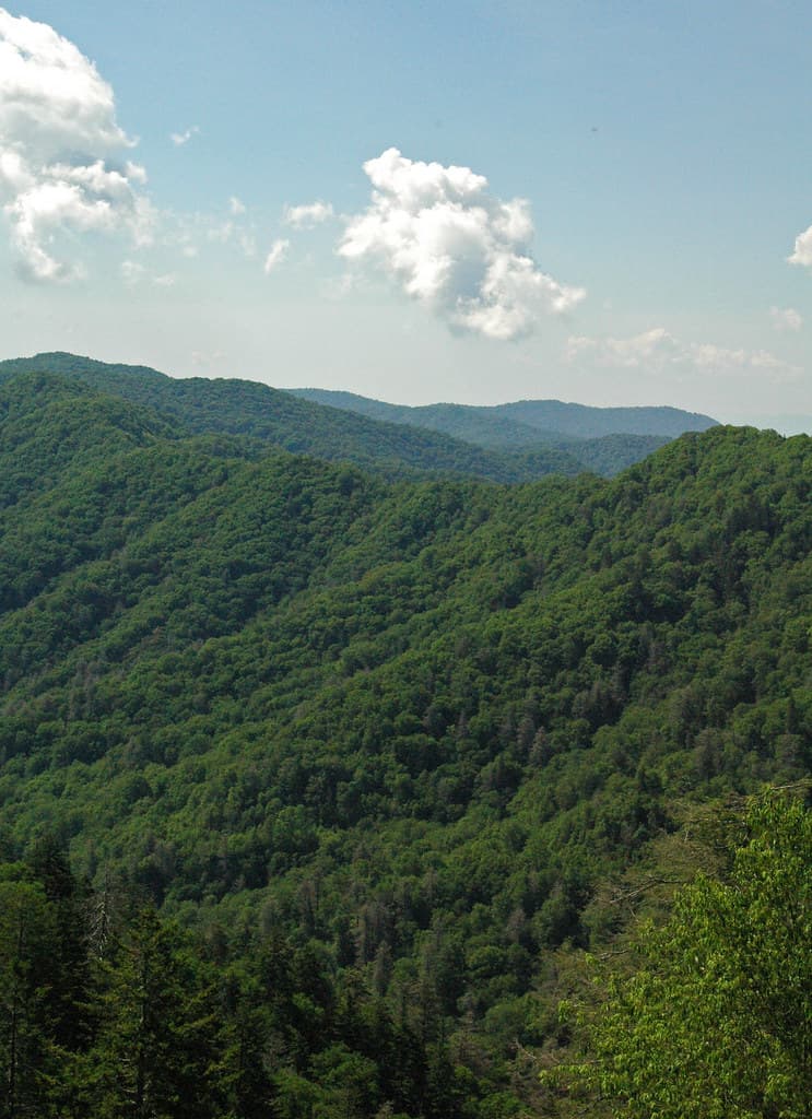 Oconaluftee