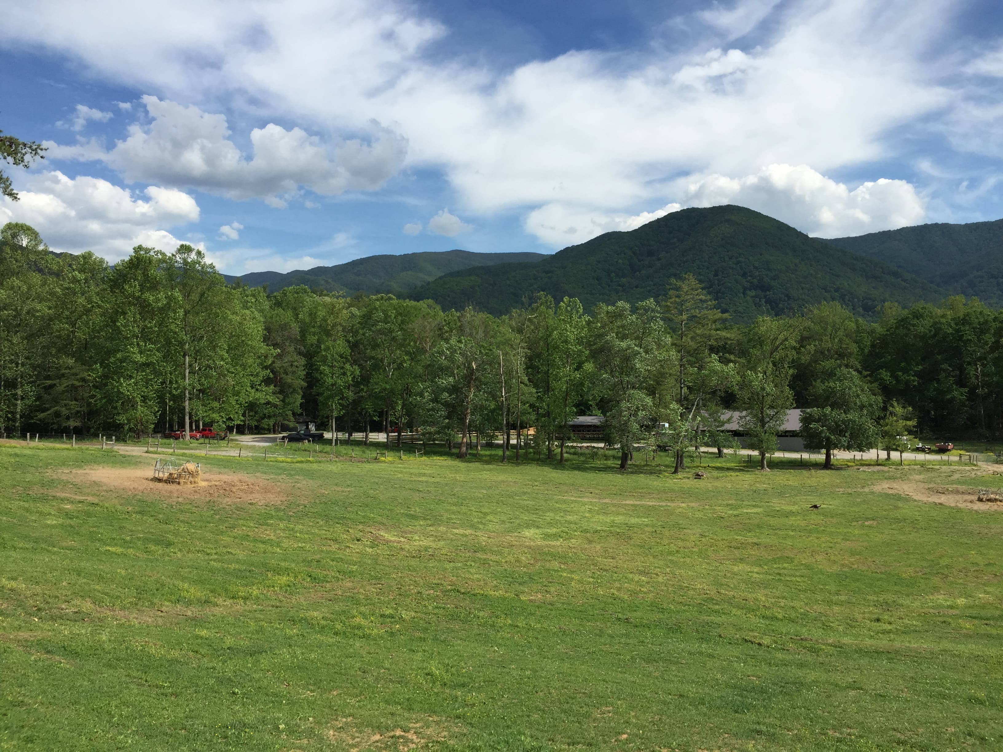 Ridgelines and Solitude: 3 Days Alone in the Smokies