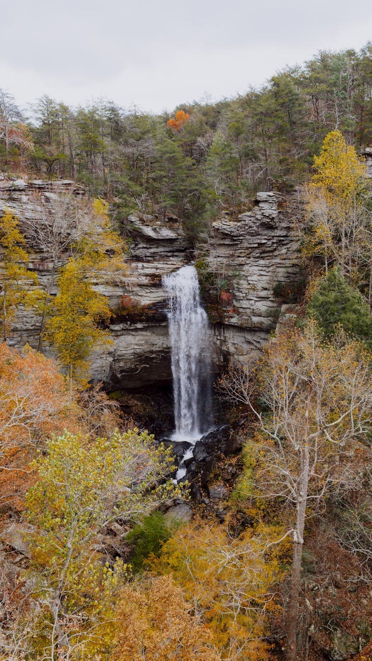 Laurel Falls