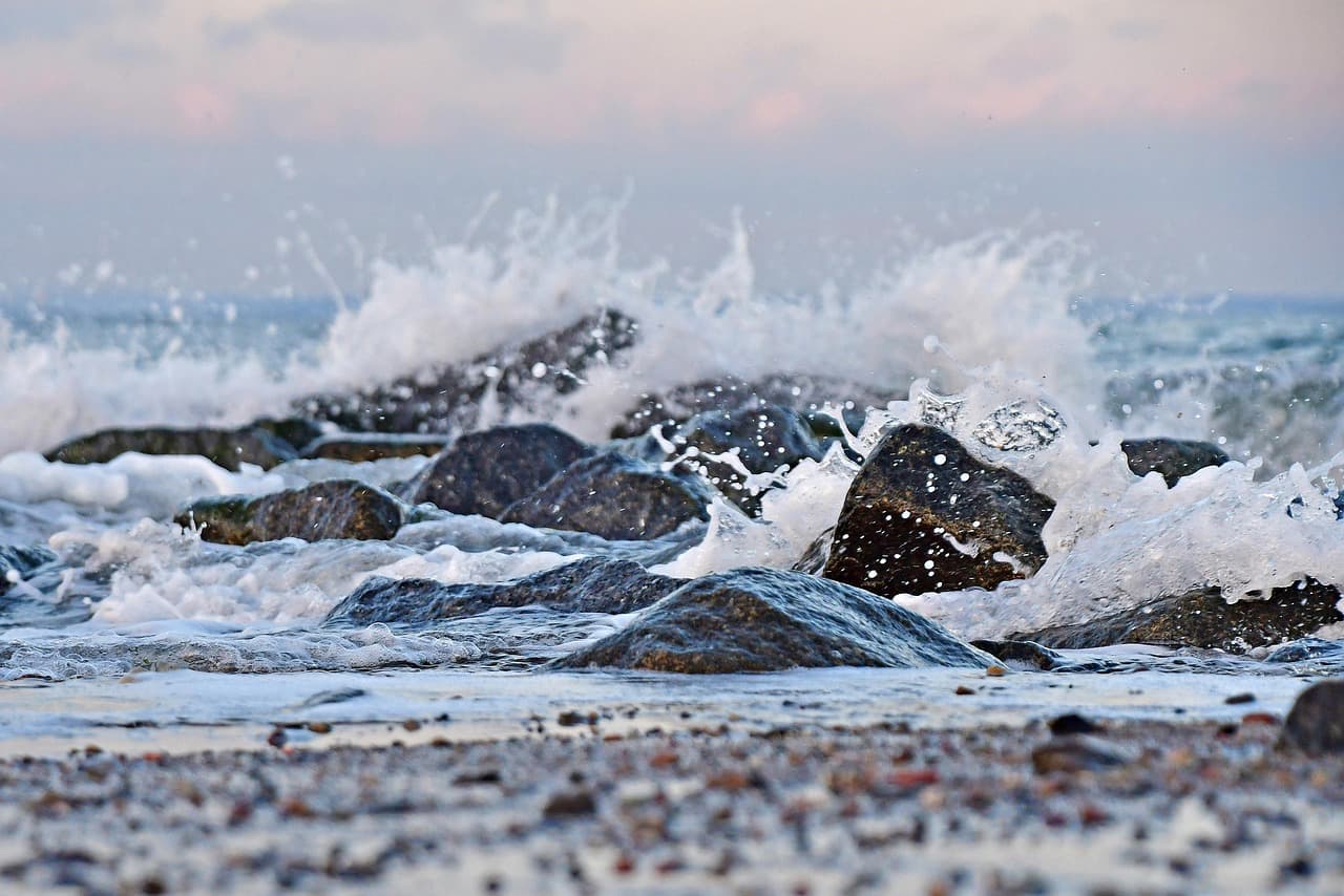 Bay Beach Wildlife Sanctuary