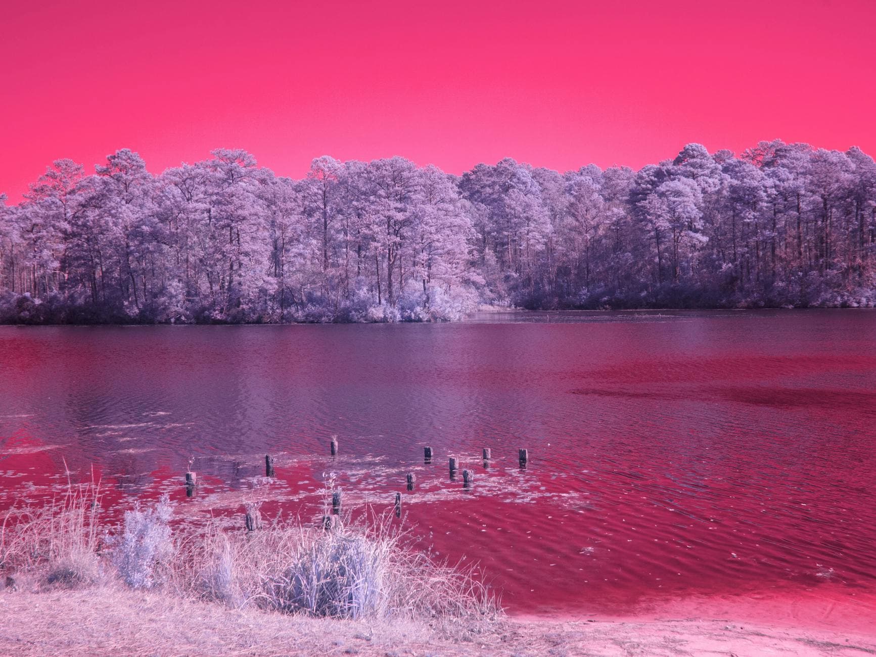 Haw River SP