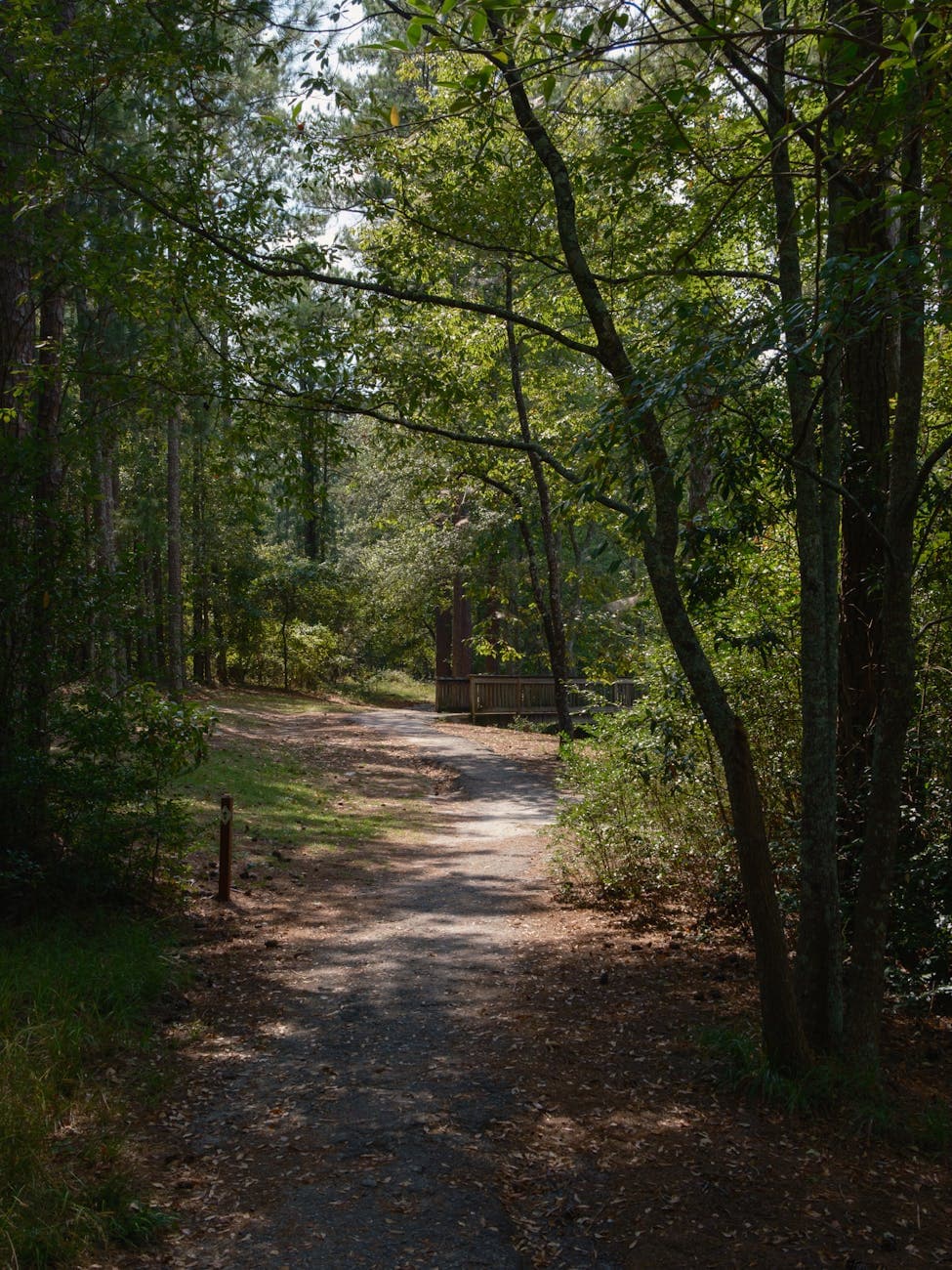 Greenville area