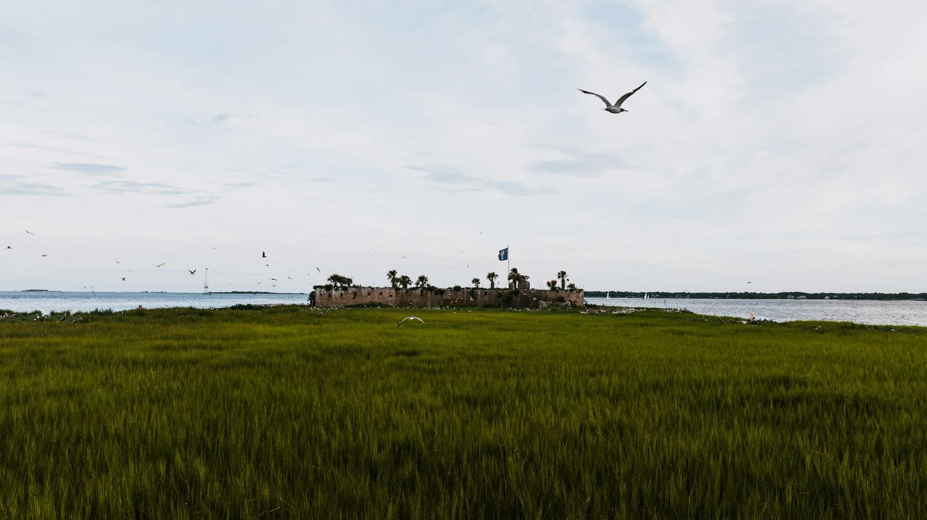 Dauphin Island Sea Lab