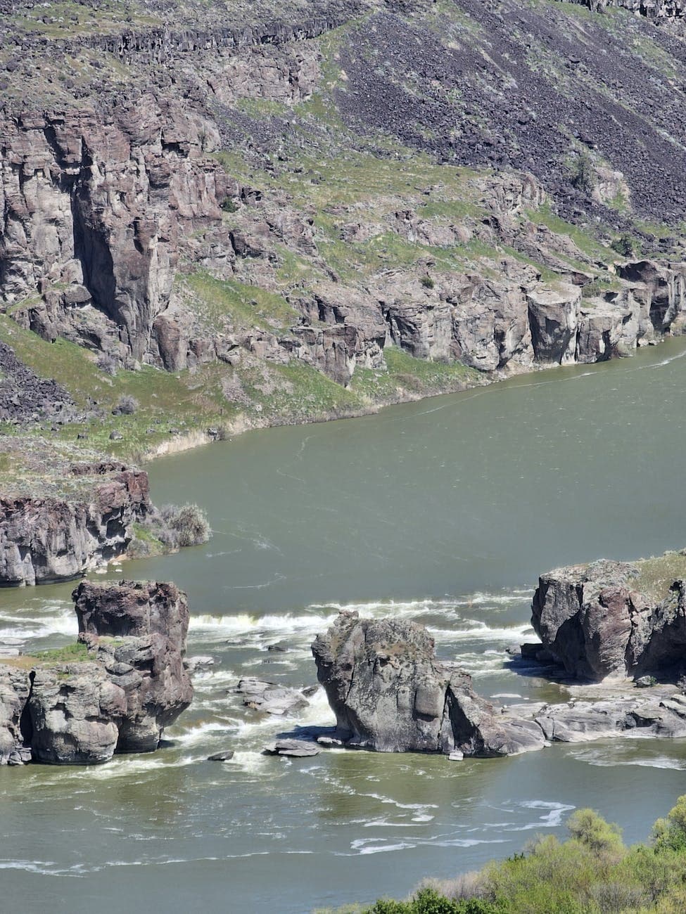 Snake River (jet boat tours)