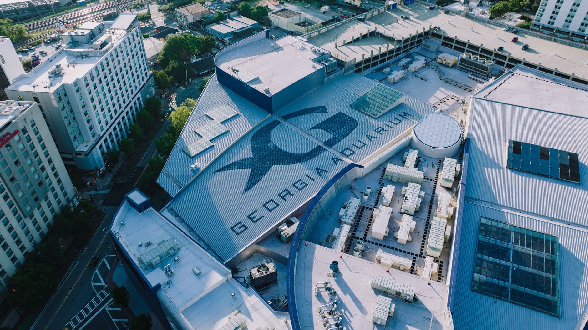 The Georgia Museum of Art