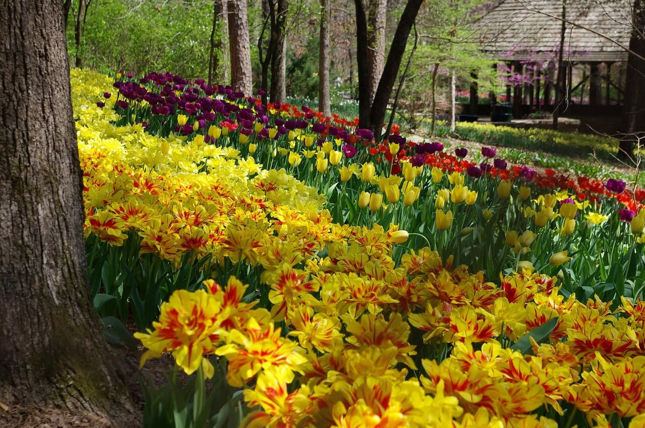 Garvan Woodland Gardens