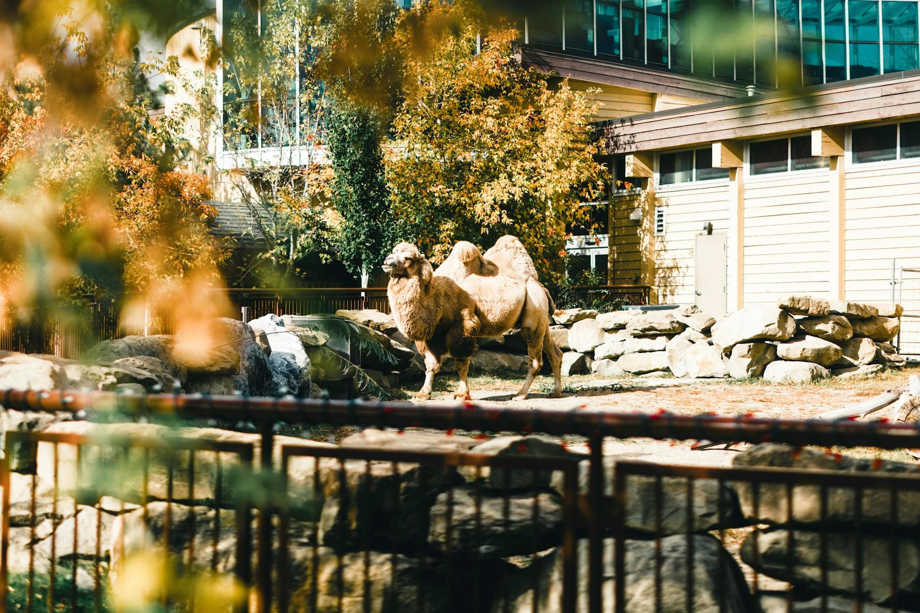 Tautphaus Park Zoo