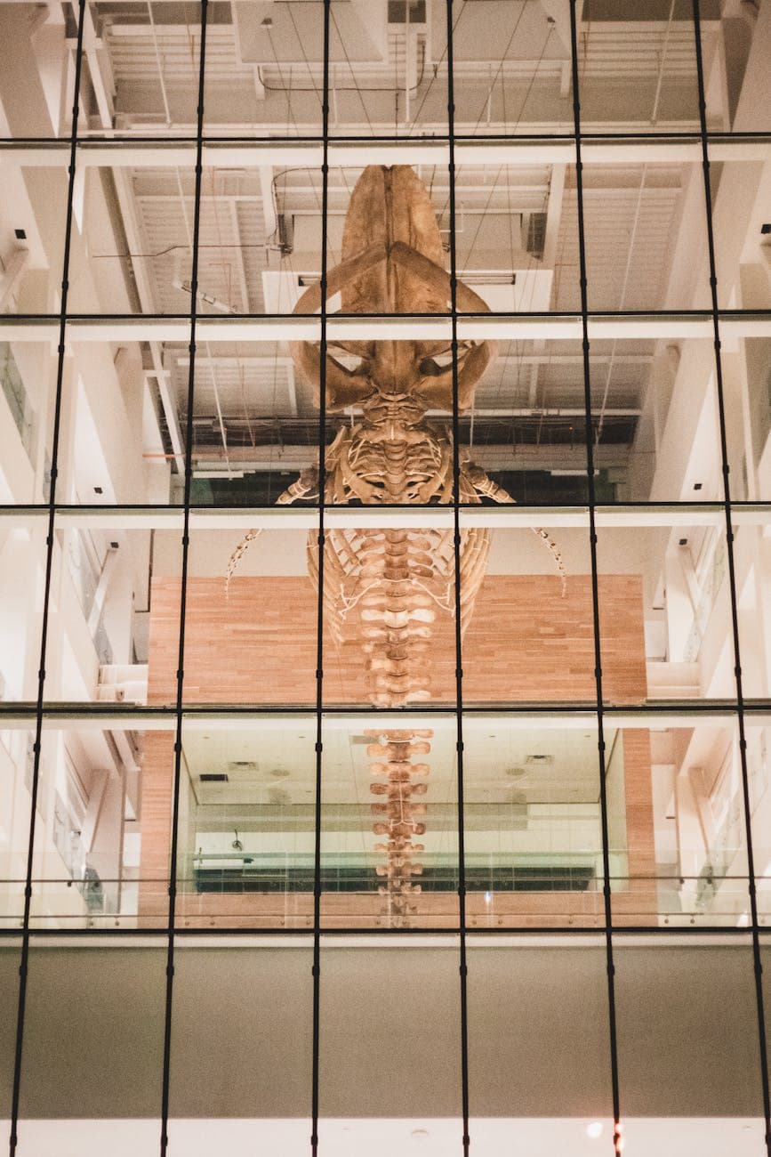 Mississippi Museum of Natural Science