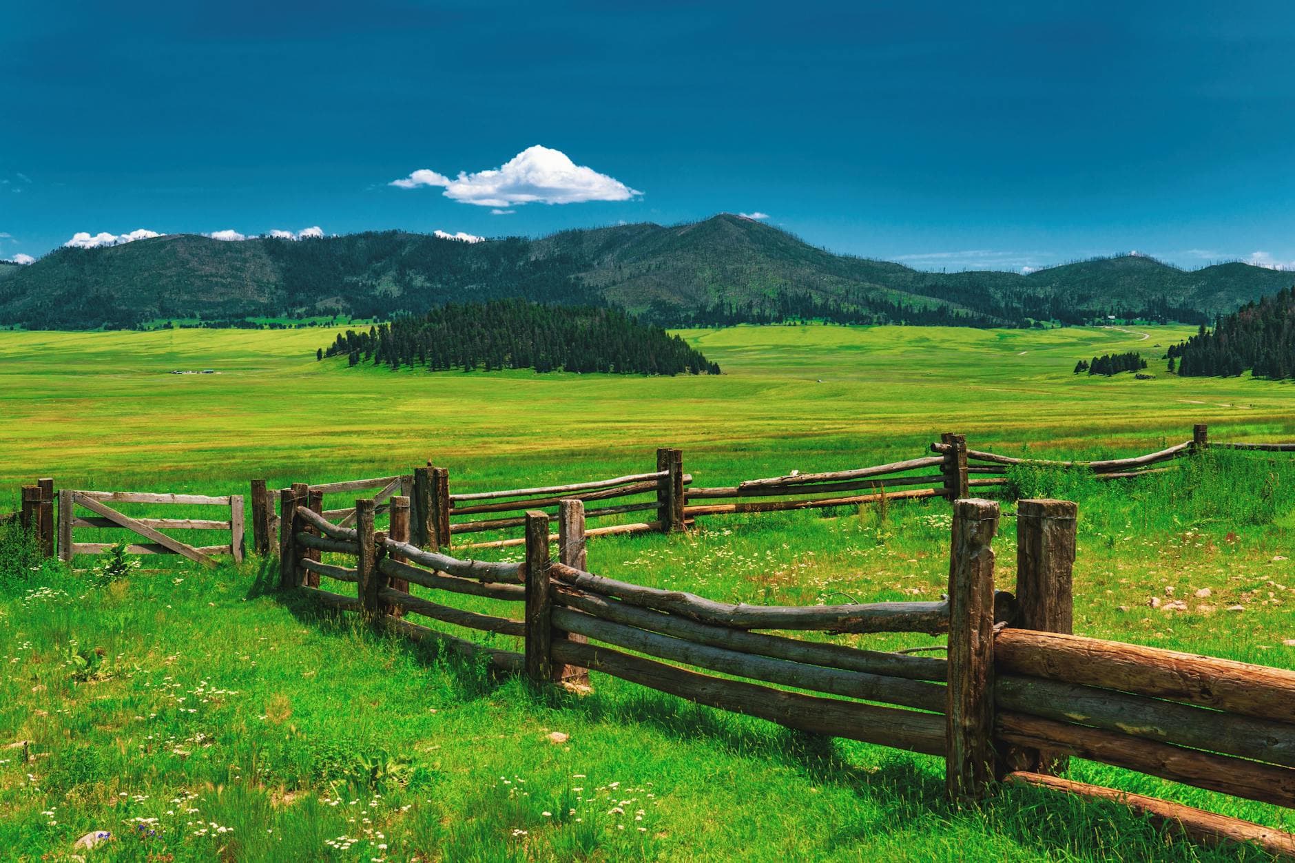 Valles Caldera NPS