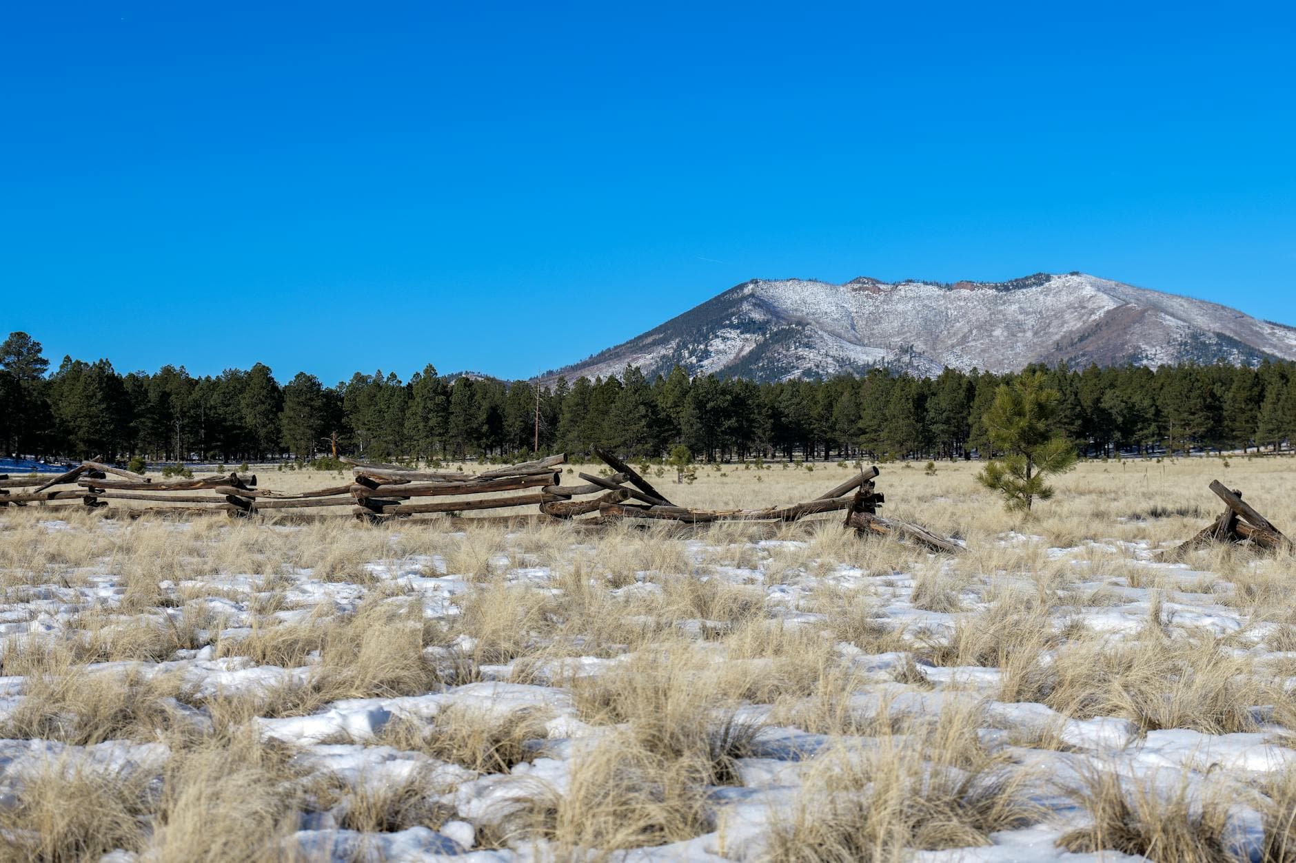 Valles Caldera NPS