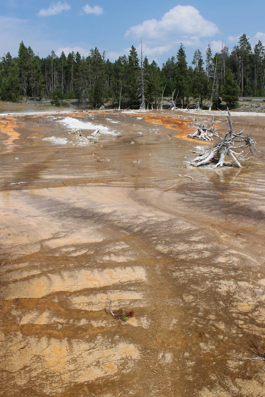 Valles Caldera NPS