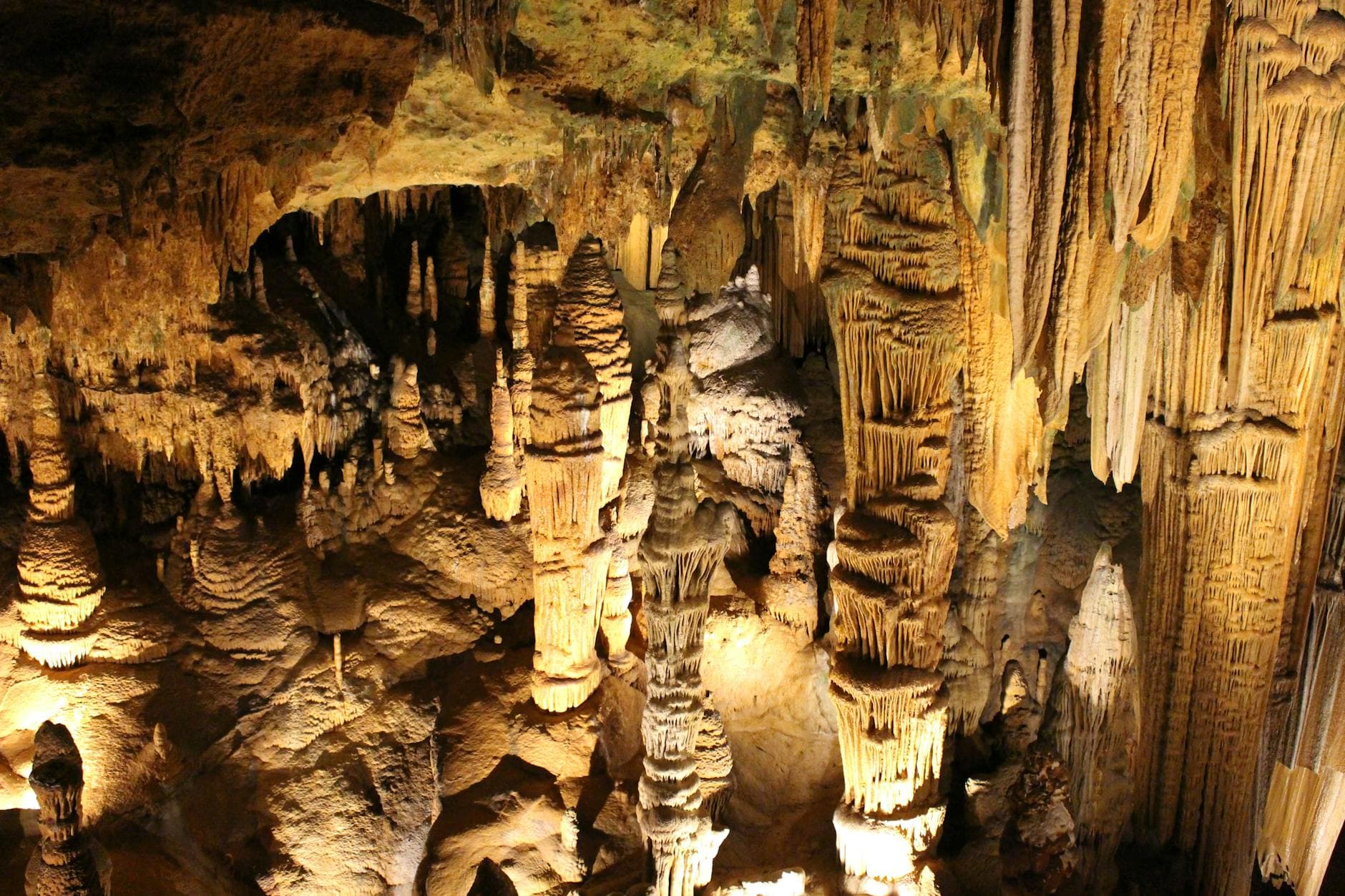 Big Room (rotating tours)