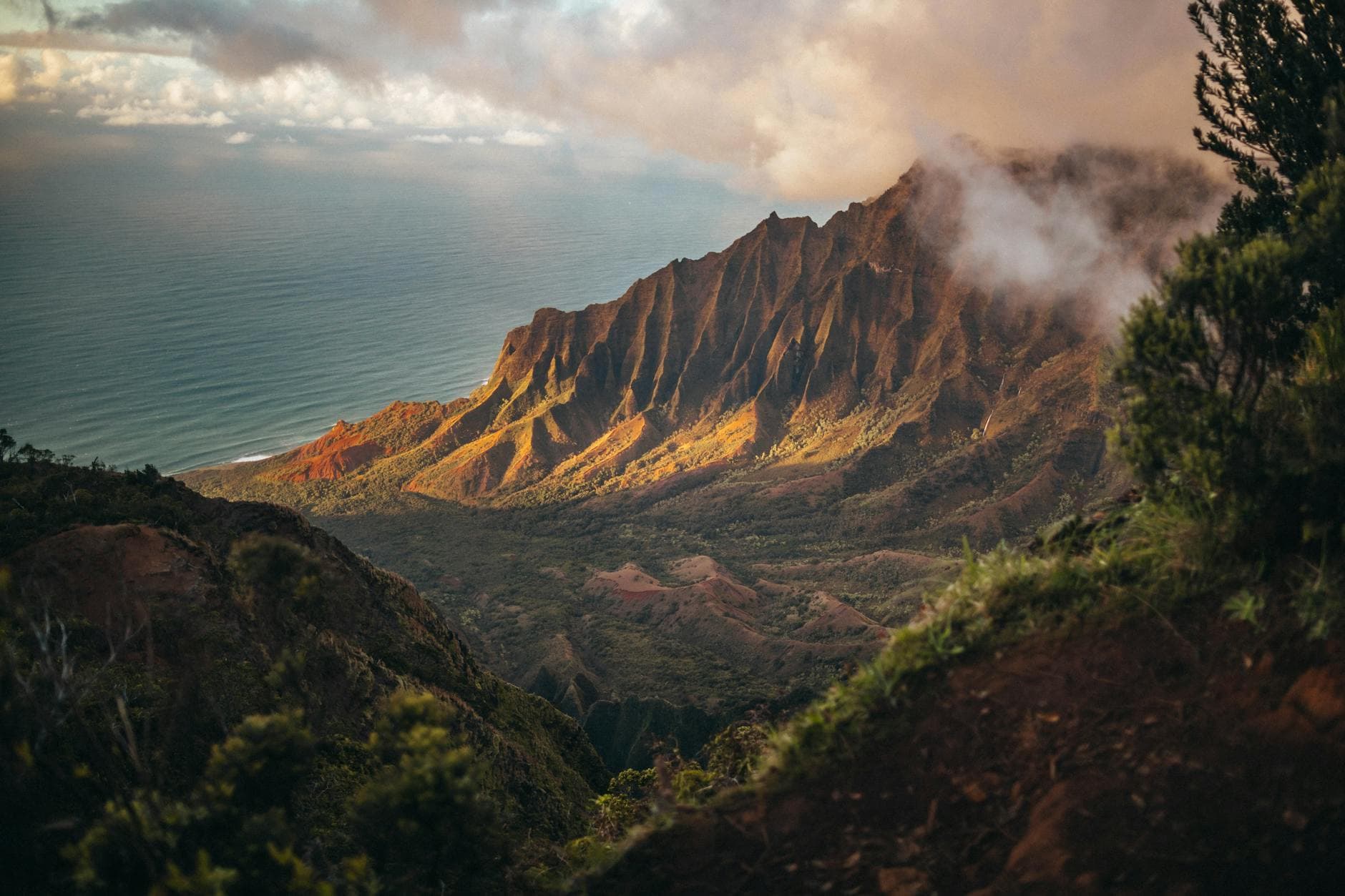 Kōkeʻe SP (Pihea Trail, Nāpali lookout via Kalalau Trail first 2 miles)