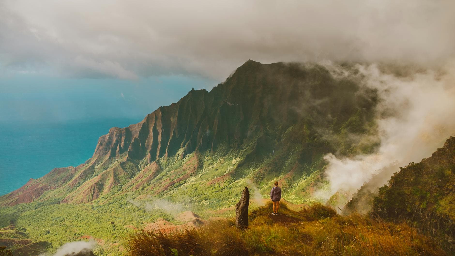 Kōkeʻe SP (Pihea Trail, Nāpali lookout via Kalalau Trail first 2 miles)