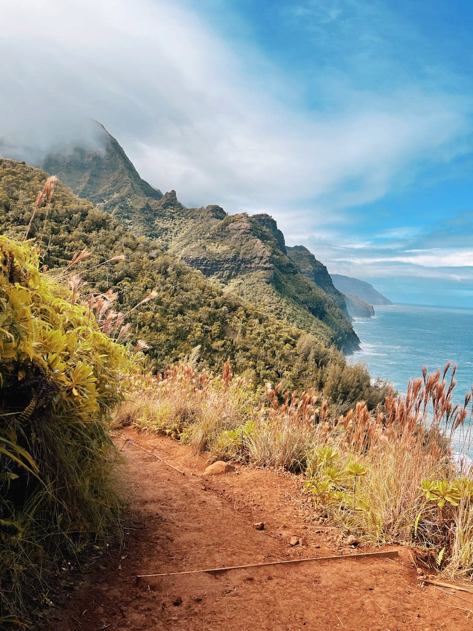 Kōkeʻe SP (Pihea Trail, Nāpali lookout via Kalalau Trail first 2 miles)