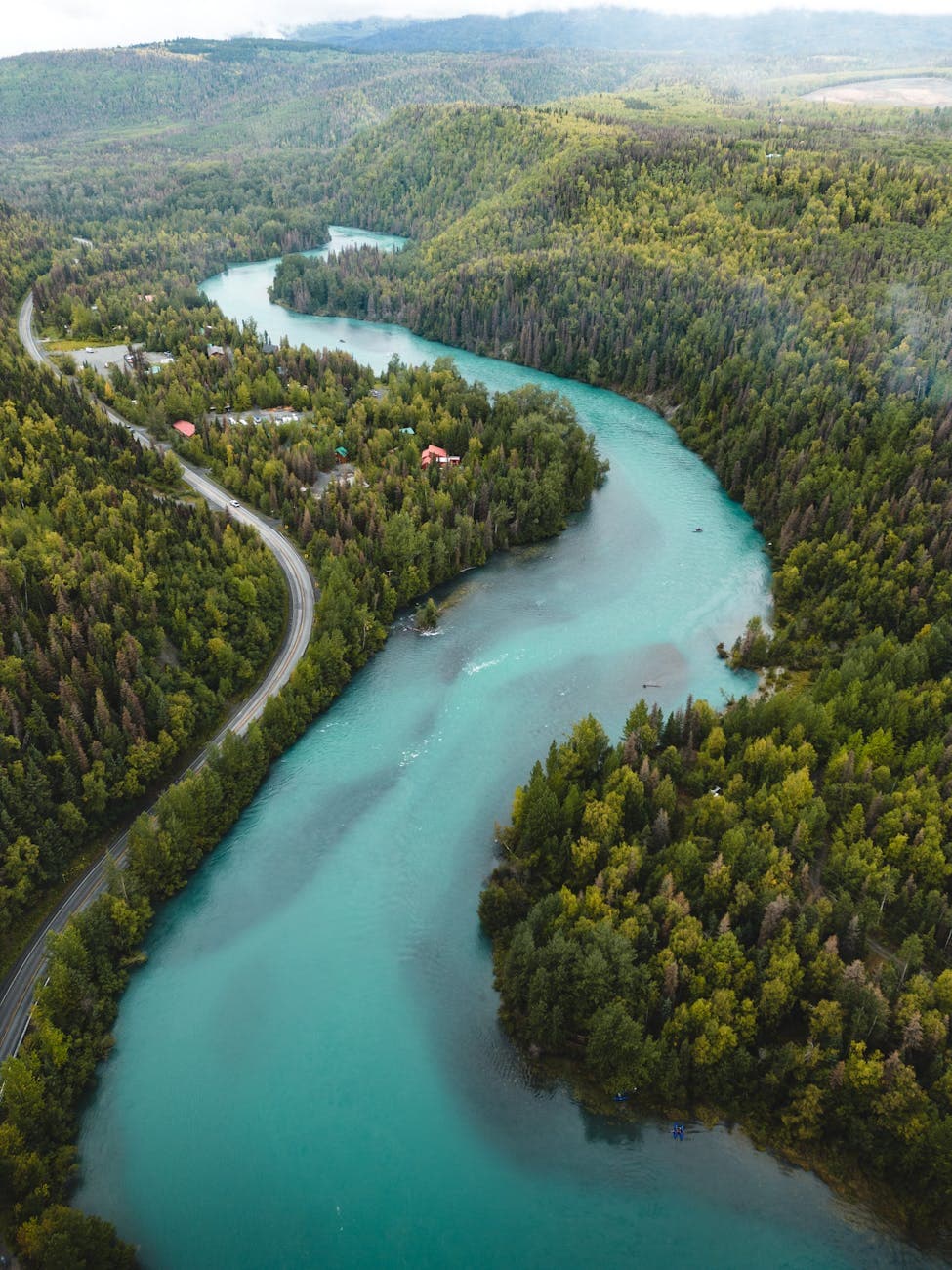 Russian River (bears)