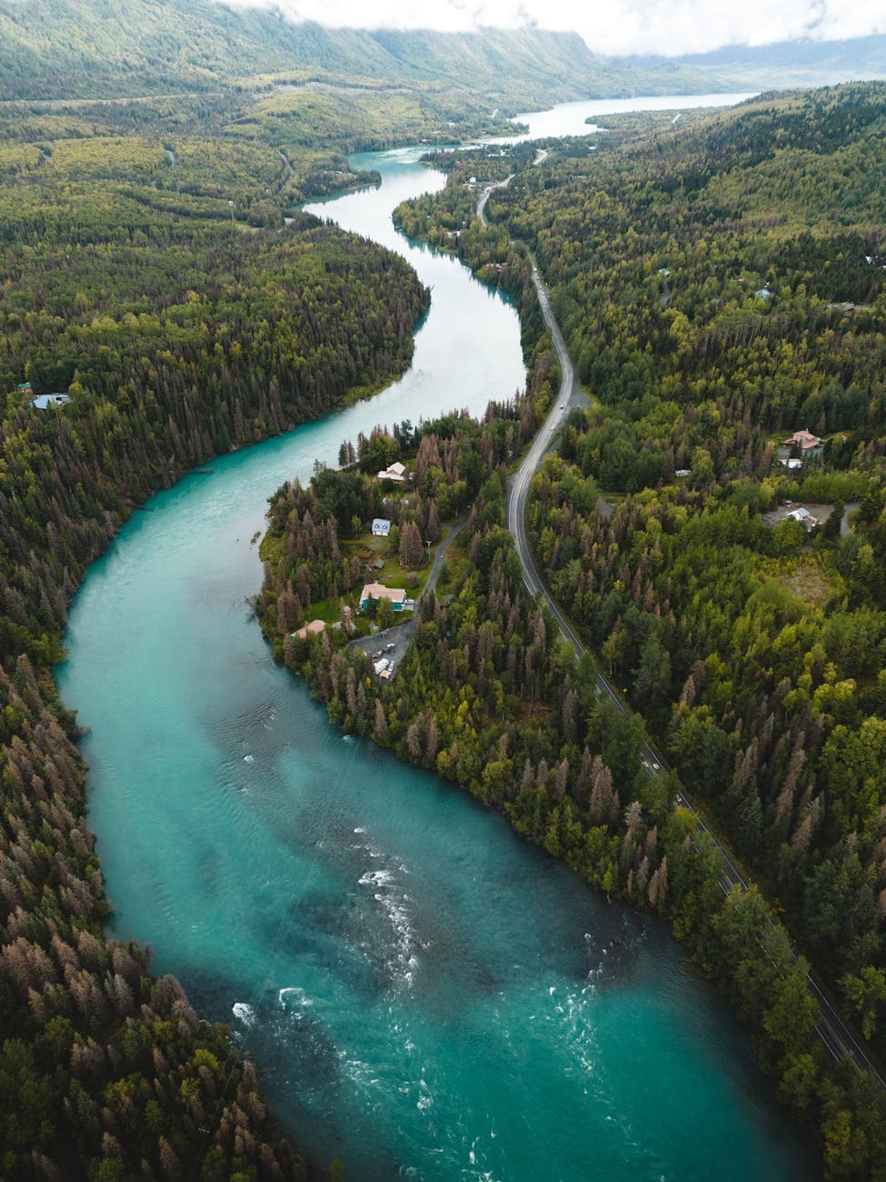 Russian River (bears)