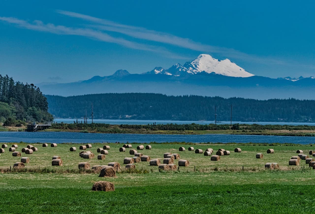 Bainbridge Island Winery