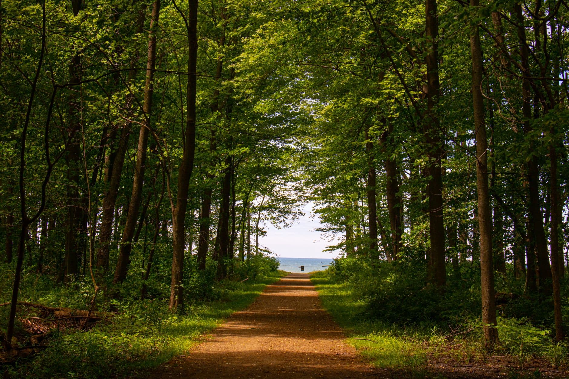 Lighthouses, Vineyards & Lake Light: Three Days on Erie's Shore