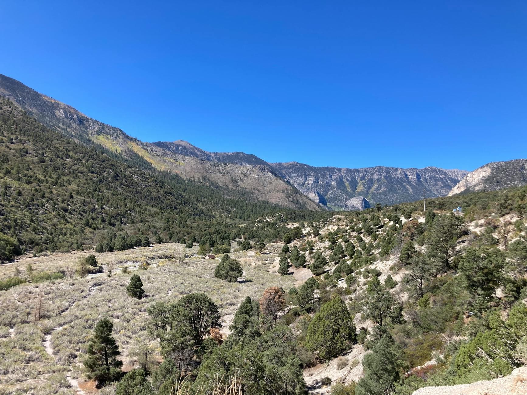 Mount Charleston (summer hiking)