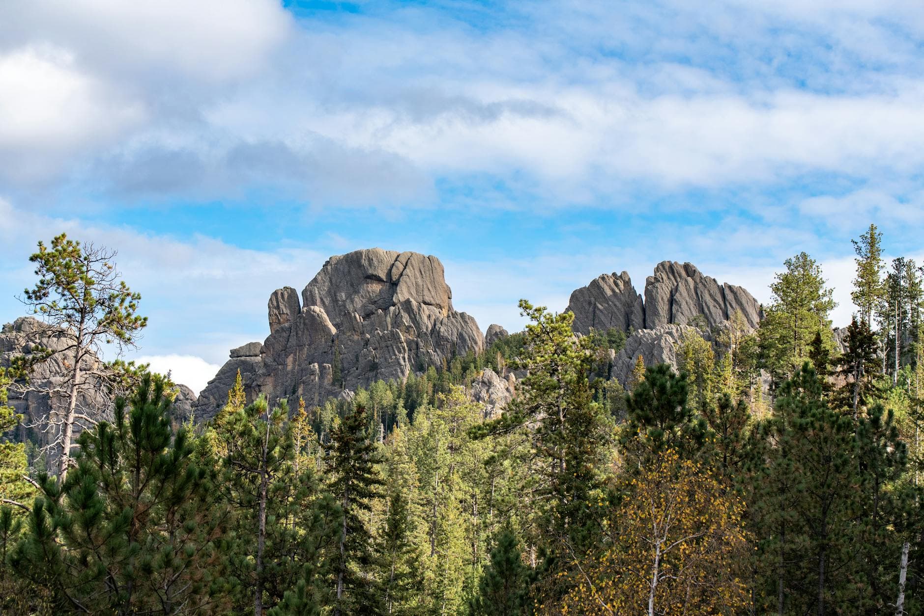 Custer Battlefield