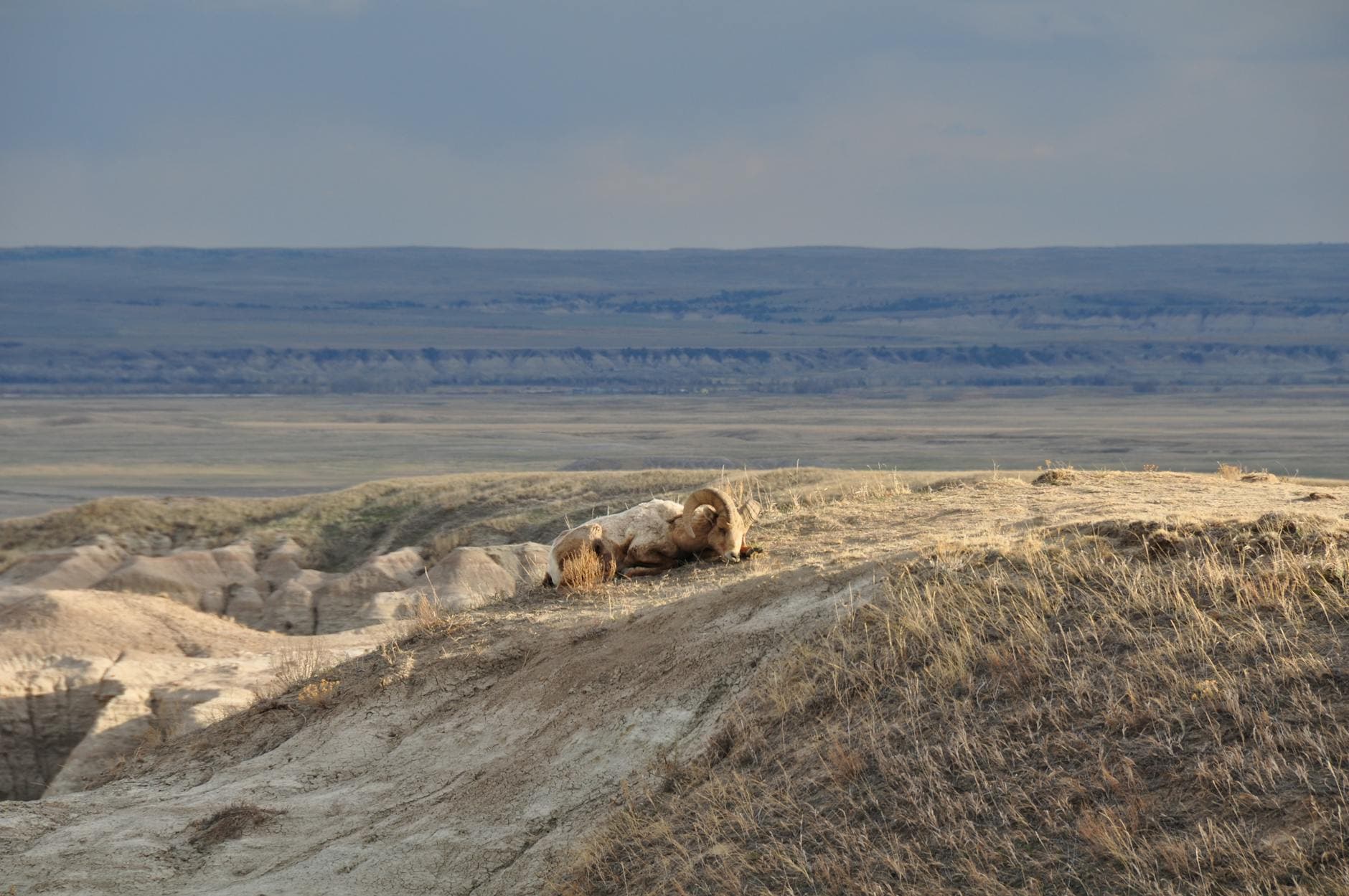 Last Stand Hill