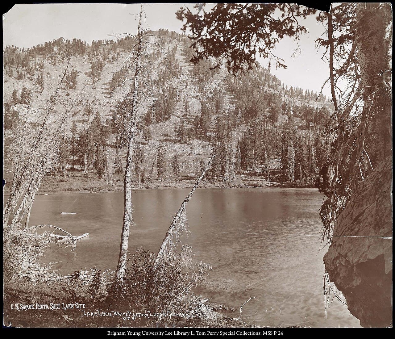 Logan Canyon