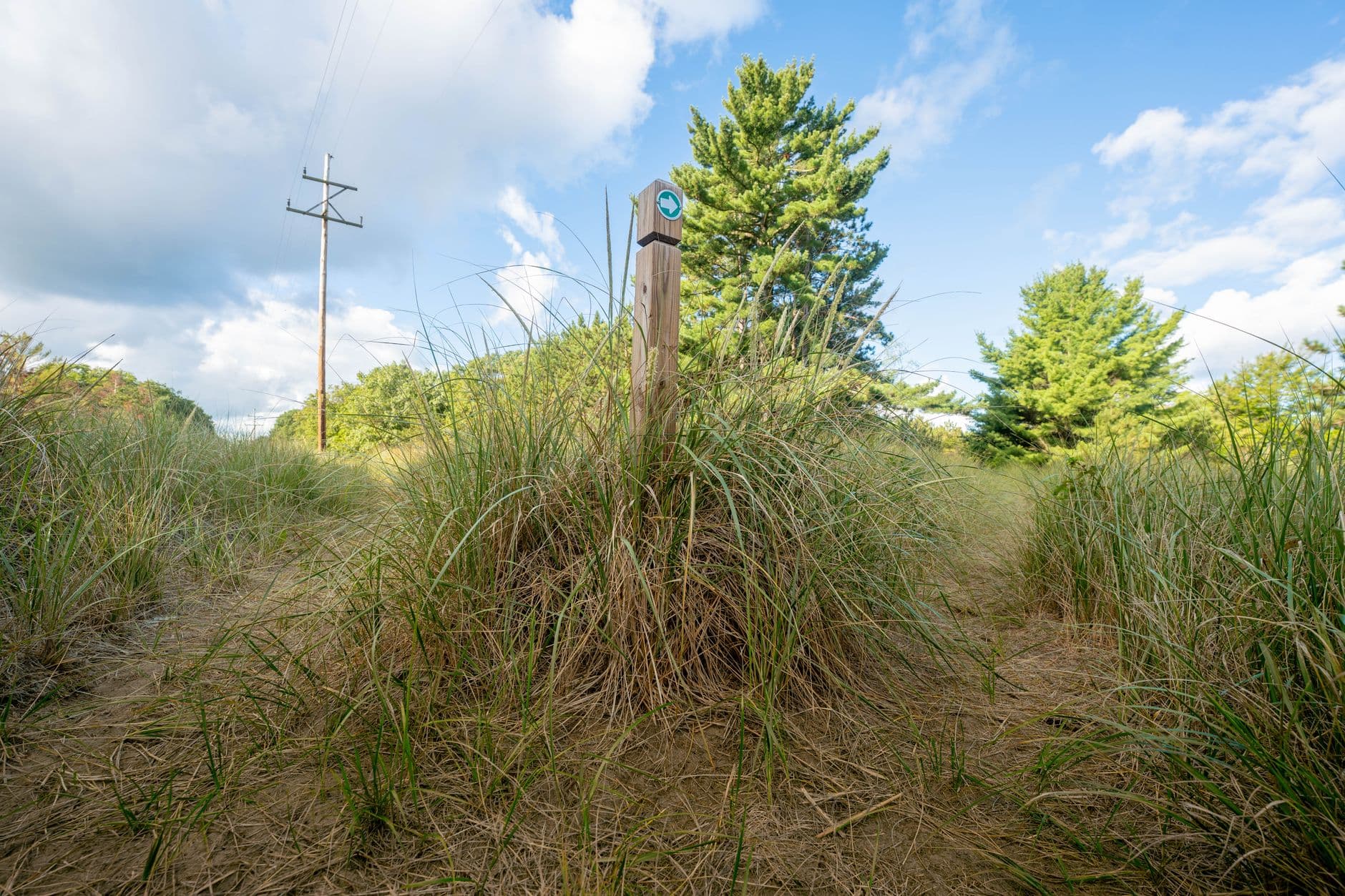 Sand, Shore & Small Steps: 3 Days at Ludington State Park