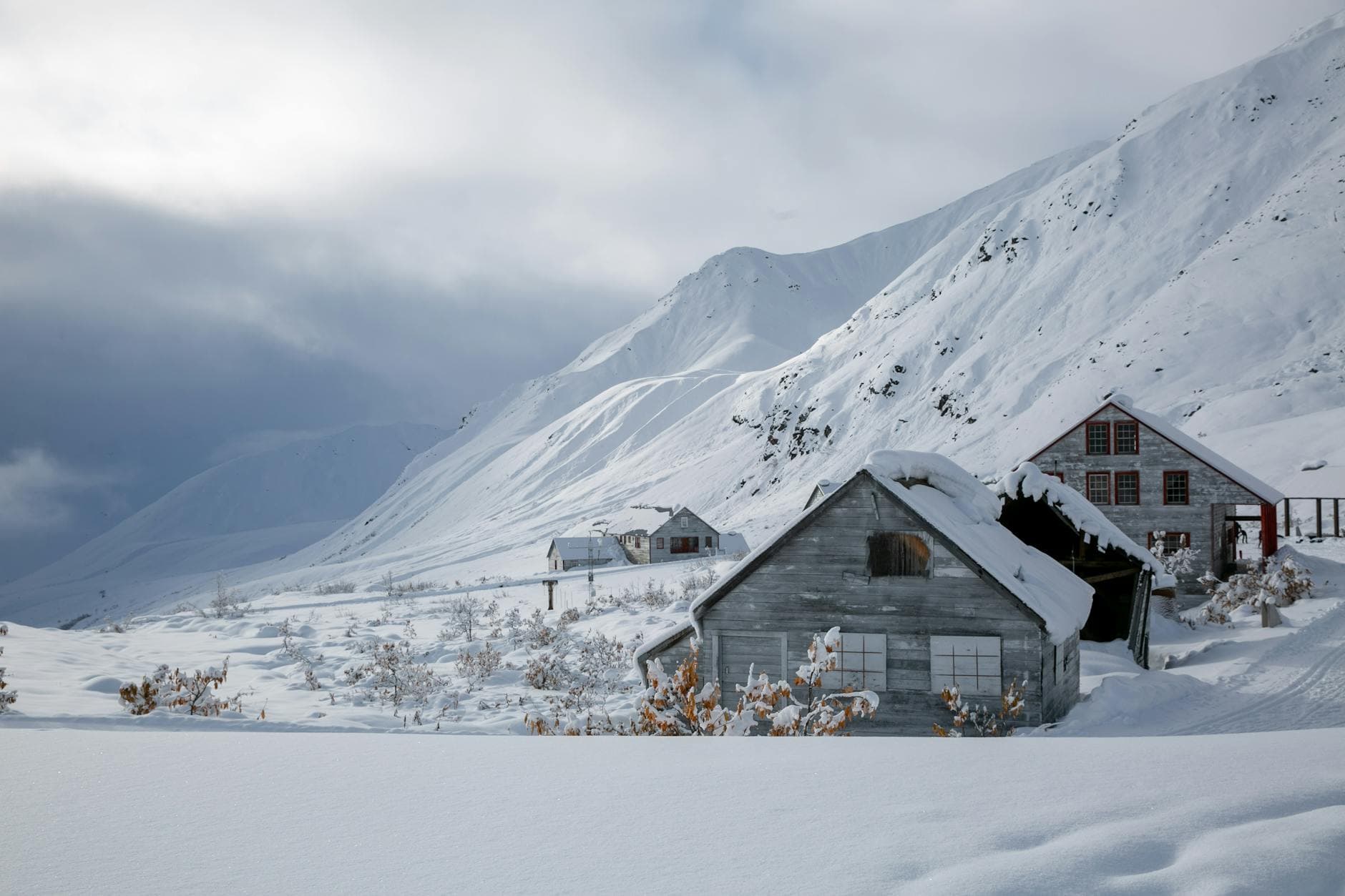 Musk Ox Farm (Palmer)