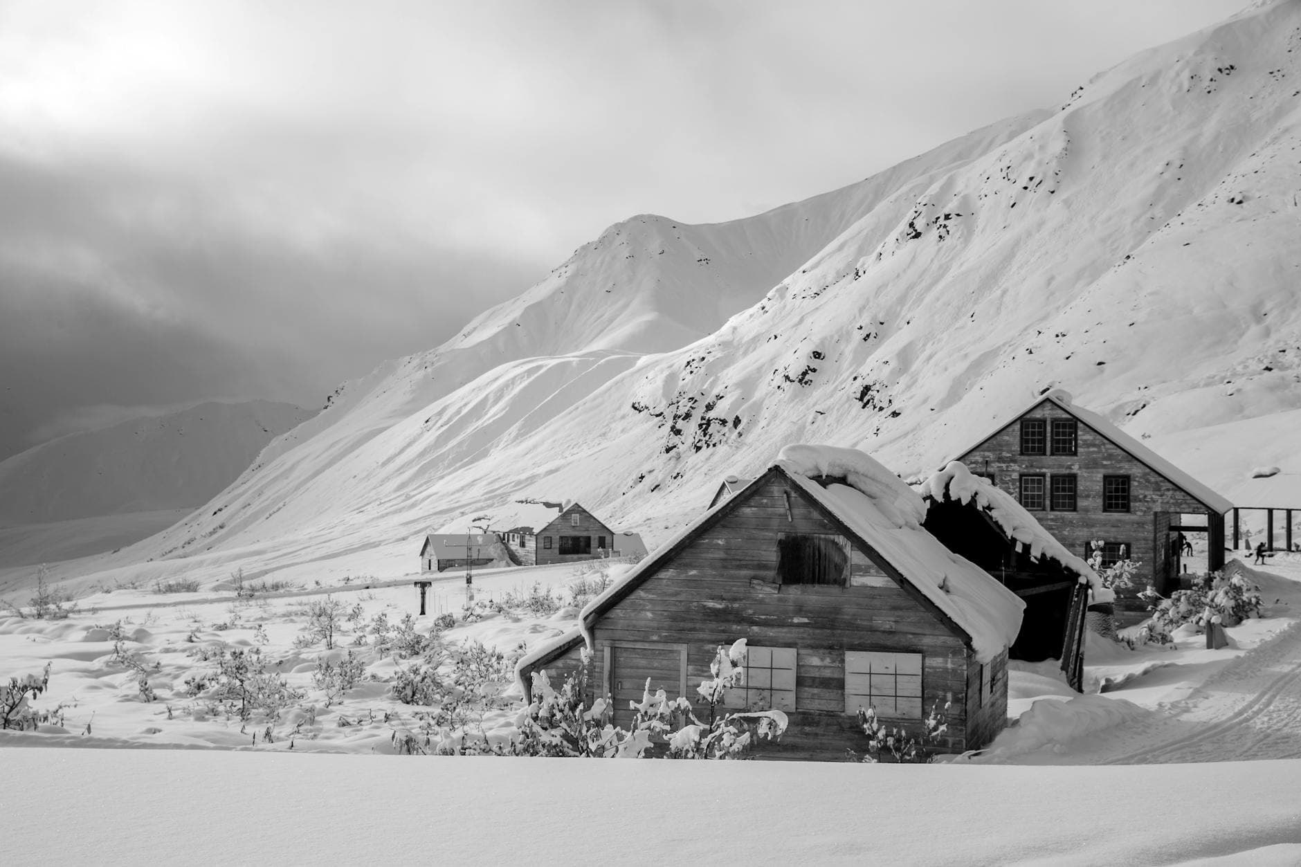 Musk Ox Farm (Palmer)