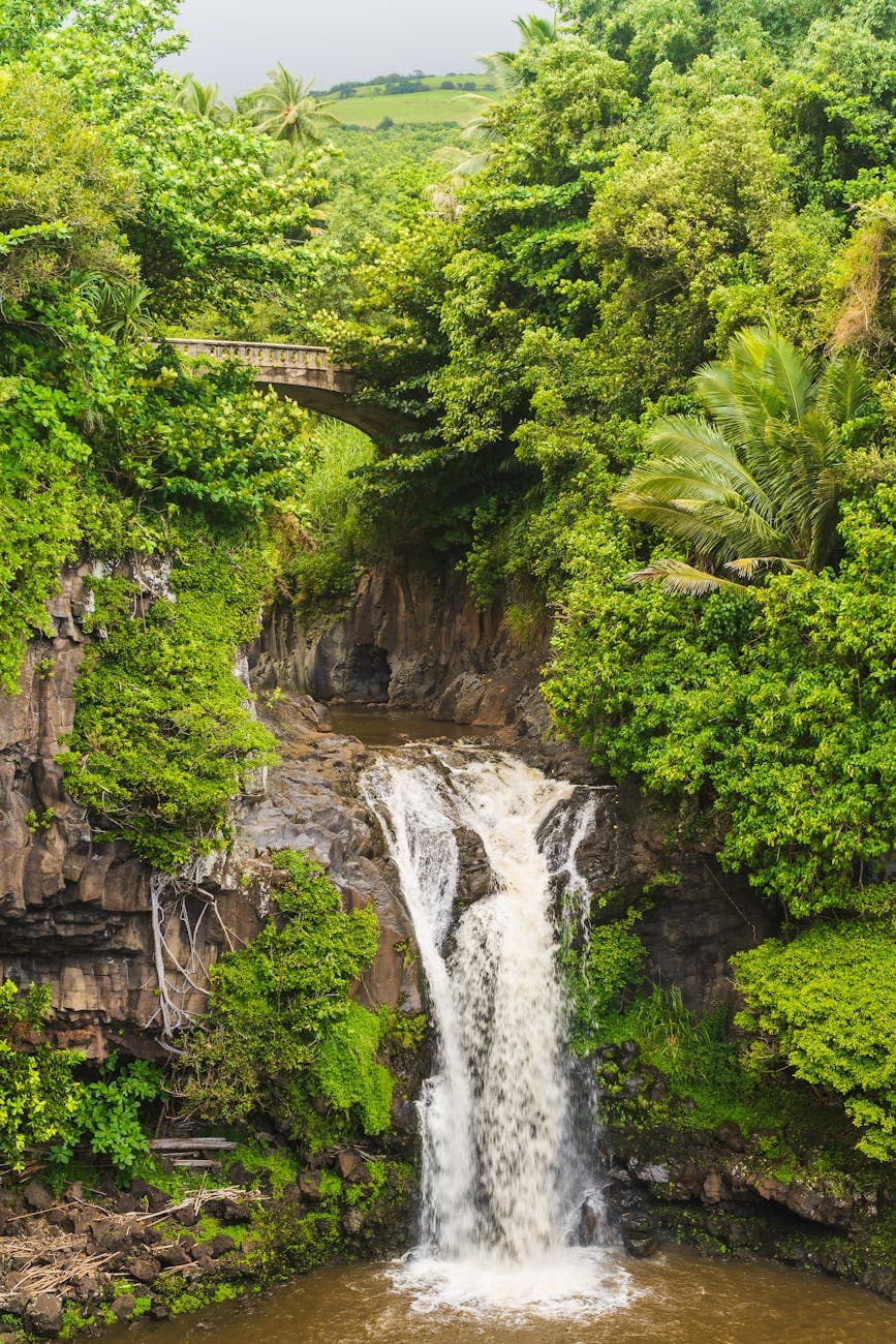 Hāna Highway (stop at Keʻanae Peninsula, Wailua Falls, Oheʻo Gulch)