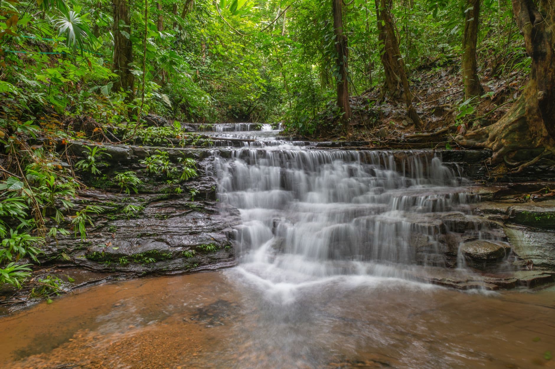 Limestone & Light: Two Days at McCormick's Creek