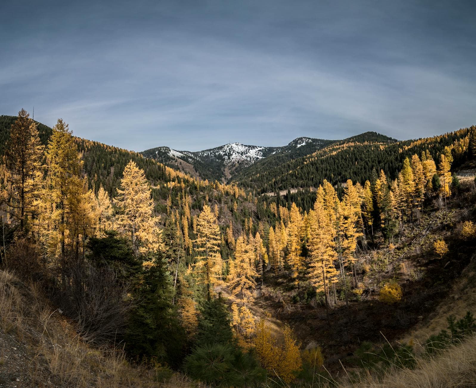 Smokejumper Center