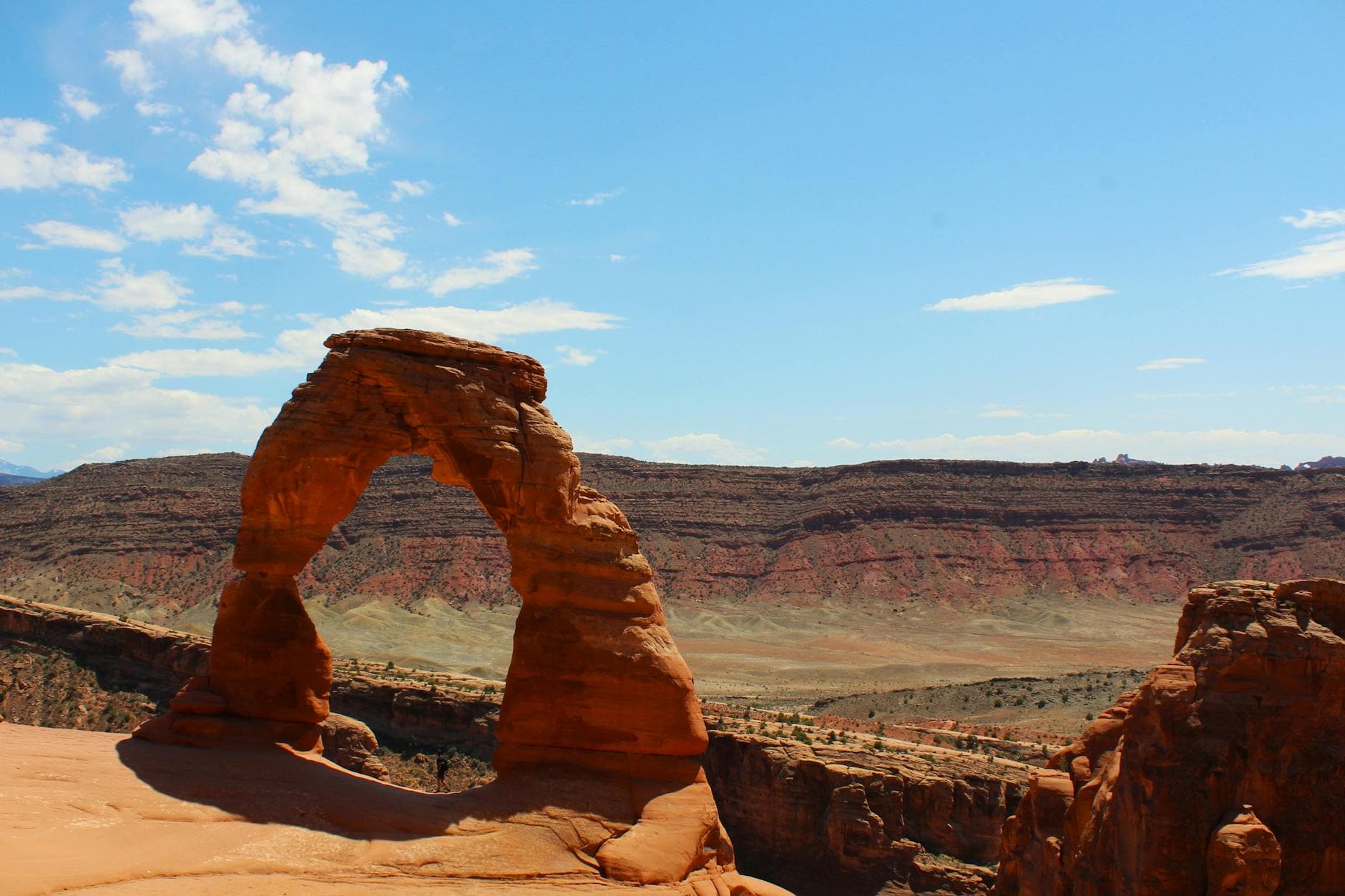 Moab Giants (dino park)