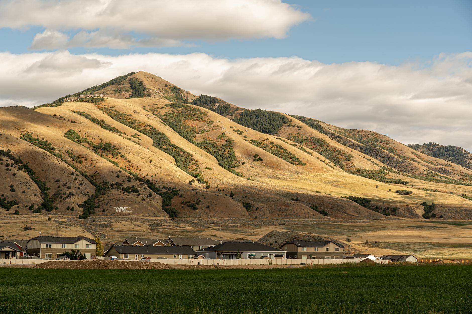 Oakdale (Cowboy Museum)